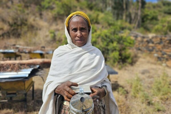 In picture: Tsega, 55, with bee smoker

“Living here has become very difficult as we do not have enough food in our village,” says Tsega, 55, while holding on to an empty basket. She lives in a small village of around 1.200 people in the middle of a mountain range in Northern Tigray. “And the situation is only getting worse,” Tsega adds. Overall, according to the World Food Programme, 15.8 million people in Ethiopia need food assistance in 2024 due to the drought, economic situation, and conflict. With Tigray being heavily impacted. “We did not have enough food for the last four years now. We are just trying to survive until the next day, hoping not to starve,” says Tsega.

The 55-year-old is part of a bee cooperative supported by CARE and a partner organization in the SELAM project. The twenty group members come together to take care of bee colonies to produce enough honey to sell on the market and with this generate income for their families. CARE supported the cooperative with 120.000 bees, 40 beehives, and 26kg of wax. “Compared to other farmers in our community, we are very lucky because at least we have the bees,” says Tsega who starts preparing a small fire on the floor. She puts some wood and coals in the middle and one of the group members waves her basket to create more smoke. She then adds more wood to the bee smoker, which is used to calm the bees. The bee cooperative was founded several years ago. “All my hope was with the bees. I do not have land or any other source of income. But with the money we got from selling the honey twice a year, I had a good life. I even bought schoolbooks, pens, shoes, and food for my children,” describes Gebregergis, 51, father of eight who is also a member of the cooperative. Then came the conflict. The beehives burned down, the bees died, and the cooperative collapsed.

“We cannot describe with words the suffering during the conflict. When we heard gunfire we ran away and left everything behind. We hid in caves during the day to survive. We left early in the morning and during the night we came back and tried to find food,” describes Gerbregergis. Many of his and Tsega’s neighbors died. “We are farmers, what do we know of fighting? Up that hill one of our cows was killed by an air strike,” he continues, lowering the ready bee smoker to the ground with a heavy sigh. “We cannot call it life. Six of our neighbors were injured during the conflict. They still cannot walk and will never be able to again,” Tsega adds. Walking is crucial in this area which is located in a steep mountain range and can only be reached by foot and by walking for half an hour downhill through rock formations and wild nature. The villagers walk everywhere. They walk to find food. They walk two hours to the next market to sell their livestock. They walk to find water and grazing areas for their animals. Young and old walk and climb through rocky terrain with children on their backs, a jerrican in one hand and a basket with bread in the other, herding cows in front of them. “If you cannot walk here, you die,” says Tsega and hands Gerbregergis some protective gear: a hat with a face net, some gloves, and sleeves.

“We live in a very bad situation. We are starving because there is not enough food. First, there was the conflict, now we have the drought and no harvest. Even the bees are weak because there are fewer flowers and no water for them to drink. They must go very far to places with irrigation. They often do not have enough strength to come back,” says Gerbregergis, walking over to one of the beehives with his knife.
“During the conflict, we had no hope, but with the new bees and hives hope has returned. The bees or our chance to survive. I have seven children, my oldest is in grade eight. She often goes to school without a pen or breakfast. I hope the bees will change that,” says Tsega.