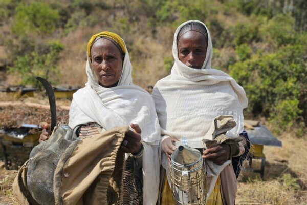 In picture: In picture: Tsega, 55, and Gergis, a fellow member of the bee cooperative - Gergis is holding the bee smoker, Tsega the protective mask and a knife to open the bee hives

“Living here has become very difficult as we do not have enough food in our village,” says Tsega, 55, while holding on to an empty basket. She lives in a small village of around 1.200 people in the middle of a mountain range in Northern Tigray. “And the situation is only getting worse,” Tsega adds. Overall, according to the World Food Programme, 15.8 million people in Ethiopia need food assistance in 2024 due to the drought, economic situation, and conflict. With Tigray being heavily impacted. “We did not have enough food for the last four years now. We are just trying to survive until the next day, hoping not to starve,” says Tsega.

The 55-year-old is part of a bee cooperative supported by CARE and a partner organization in the SELAM project. The twenty group members come together to take care of bee colonies to produce enough honey to sell on the market and with this generate income for their families. CARE supported the cooperative with 120.000 bees, 40 beehives, and 26kg of wax. “Compared to other farmers in our community, we are very lucky because at least we have the bees,” says Tsega who starts preparing a small fire on the floor. She puts some wood and coals in the middle and one of the group members waves her basket to create more smoke. She then adds more wood to the bee smoker, which is used to calm the bees. The bee cooperative was founded several years ago. “All my hope was with the bees. I do not have land or any other source of income. But with the money we got from selling the honey twice a year, I had a good life. I even bought schoolbooks, pens, shoes, and food for my children,” describes Gebregergis, 51, father of eight who is also a member of the cooperative. Then came the conflict. The beehives burned down, the bees died, and the cooperative collapsed.

“We cannot describe with words the suffering during the conflict. When we heard gunfire we ran away and left everything behind. We hid in caves during the day to survive. We left early in the morning and during the night we came back and tried to find food,” describes Gerbregergis. Many of his and Tsega’s neighbors died. “We are farmers, what do we know of fighting? Up that hill one of our cows was killed by an air strike,” he continues, lowering the ready bee smoker to the ground with a heavy sigh. “We cannot call it life. Six of our neighbors were injured during the conflict. They still cannot walk and will never be able to again,” Tsega adds. Walking is crucial in this area which is located in a steep mountain range and can only be reached by foot and by walking for half an hour downhill through rock formations and wild nature. The villagers walk everywhere. They walk to find food. They walk two hours to the next market to sell their livestock. They walk to find water and grazing areas for their animals. Young and old walk and climb through rocky terrain with children on their backs, a jerrican in one hand and a basket with bread in the other, herding cows in front of them. “If you cannot walk here, you die,” says Tsega and hands Gerbregergis some protective gear: a hat with a face net, some gloves, and sleeves.

“We live in a very bad situation. We are starving because there is not enough food. First, there was the conflict, now we have the drought and no harvest. Even the bees are weak because there are fewer flowers and no water for them to drink. They must go very far to places with irrigation. They often do not have enough strength to come back,” says Gerbregergis, walking over to one of the beehives with his knife.
“During the conflict, we had no hope, but with the new bees and hives hope has returned. The bees or our chance to survive. I have seven children, my oldest is in grade eight. She often goes to school without a pen or breakfast. I hope the bees will change that,” says Tsega.