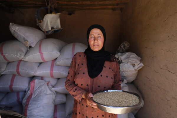 Kamla received assistance from CARE under a grant from the UK’s Foreign, Commonwealth and Development Office (FCDO) for building resilience in Syria. This included technical training, 500 kilograms of wheat seeds, fertilizers, the opportunity to participate in a ‘cash-for-work’ activity, cash assistance for purchasing and installing a sprinkler irrigation system.

 

“The grant made a big difference [in our lives]. Before receiving the grant, I was thinking about how I would secure seeds and fertilizers because of their high prices and the decline in the financial situation due to the drought, as I was unable to purchase their agricultural inputs. The sprinkler irrigation network also helped save water and effort compared to traditional irrigation.” 

 