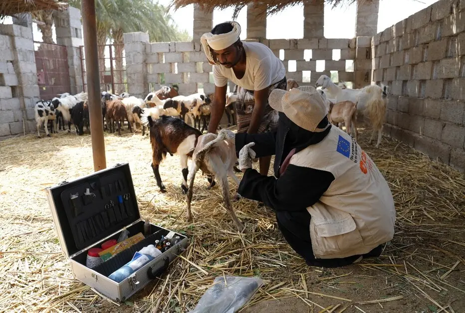 CARE Balík pomoci veterina